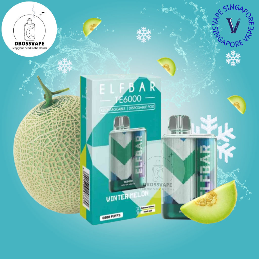 elfbar-te-6k-puff-winter-melon-disposable-vape-singapore-sg-vape