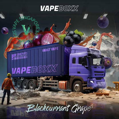 vapeboxx-12000-puff-blackcurrant-grape-disposable-vape-singapore-sg-vape